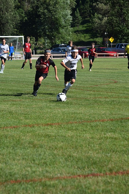 法国球星特 法国球星特