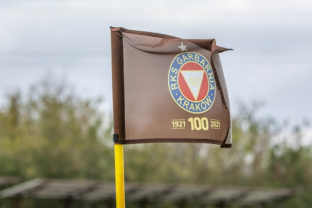 根據比賽數 根據比賽數