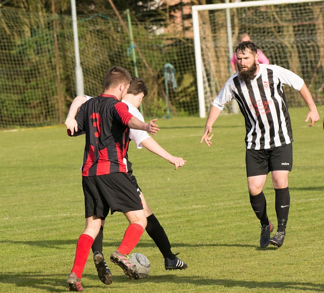 施的助力 施的助力