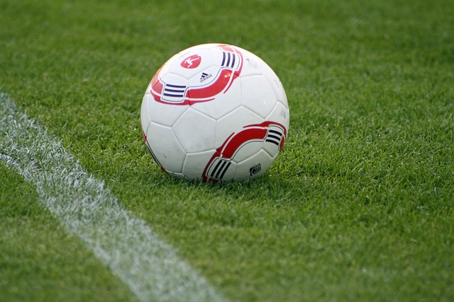 挪威足球队 挪威足球队