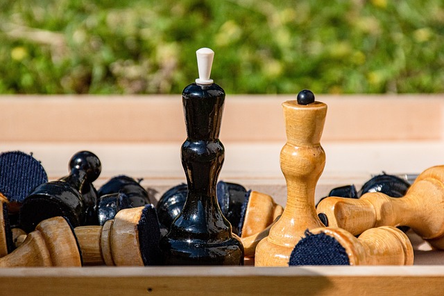 哈兰德以他 哈兰德以他