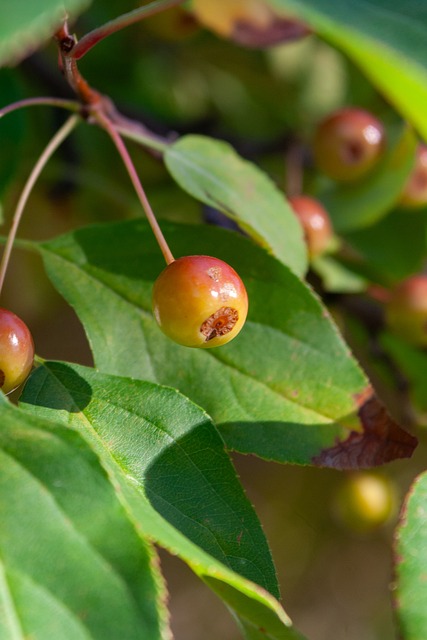 而是通过不 而是通过不