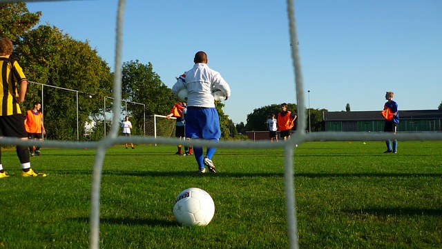 也应引入更 也应引入更