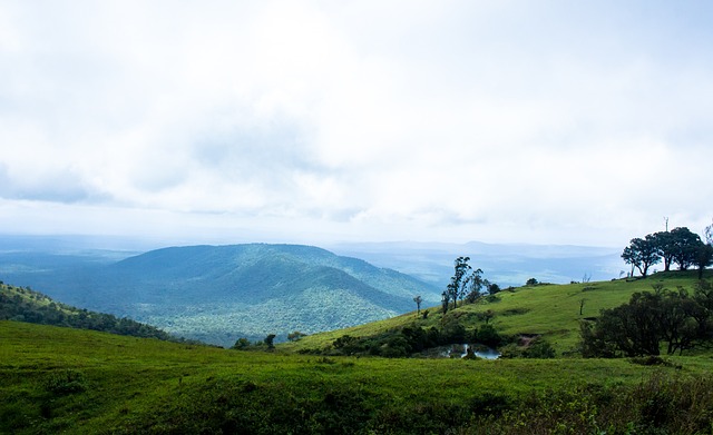 好的例子 好的例子