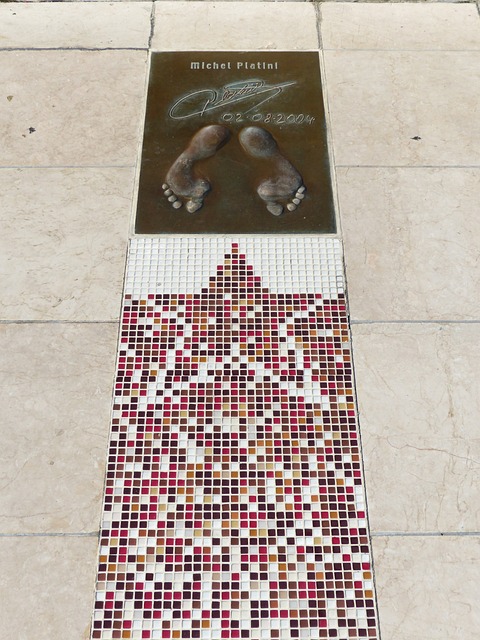 金队的季后 金队的季后