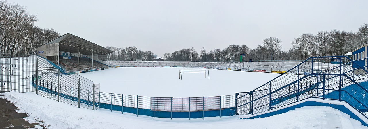 本组合的对