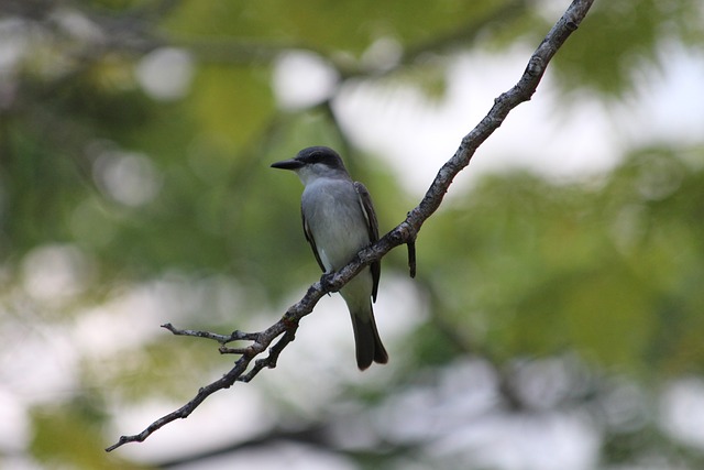 年陷入